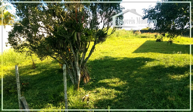 Imagem Chácara com 6 Quartos à Venda, 145 m² em Vila Oásis Paulista - Rio Grande da Serra Imagem Chácara com 6 Quartos à Venda, 145 m² em Vila Oásis Paulista - Rio Grande da Serra