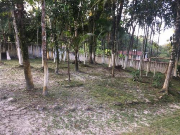 Imagem Chácara com 2 Quartos à Venda, 4.000 m² em Jd. Coronel - Itanhaém