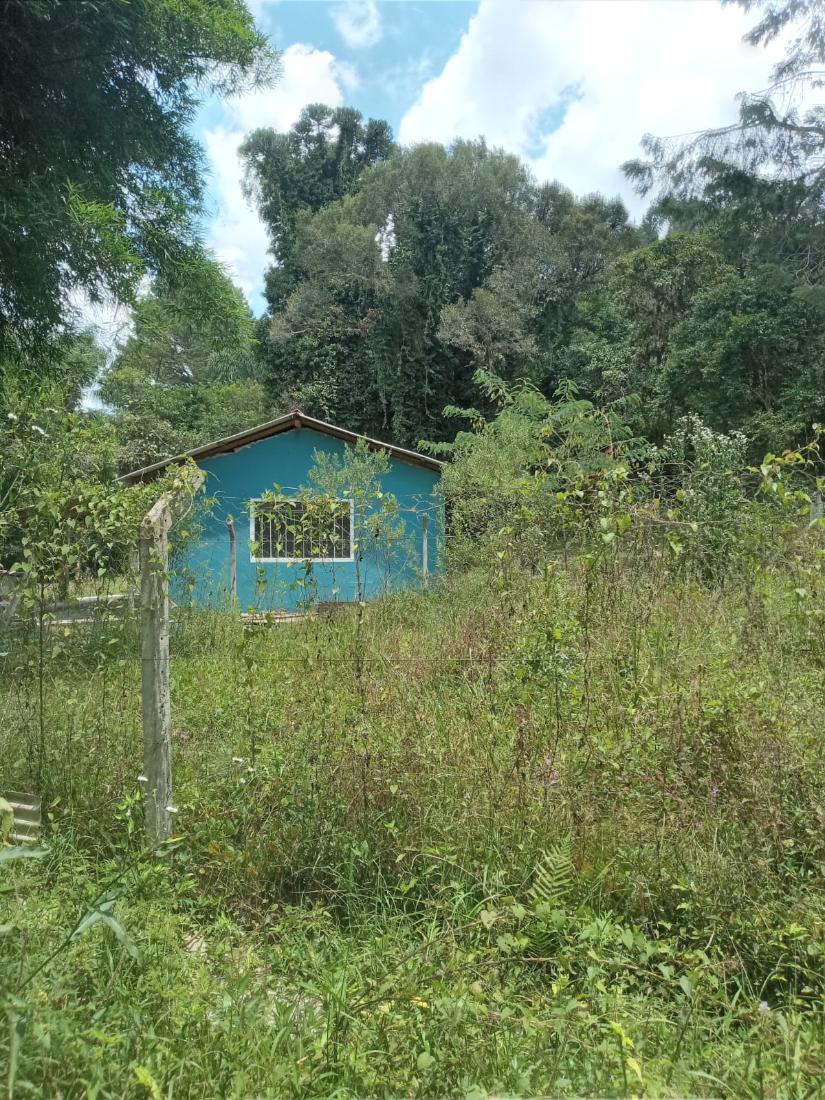 Imagem Terreno à Venda, 19.965 m² em Itália - São José dos Pinhais