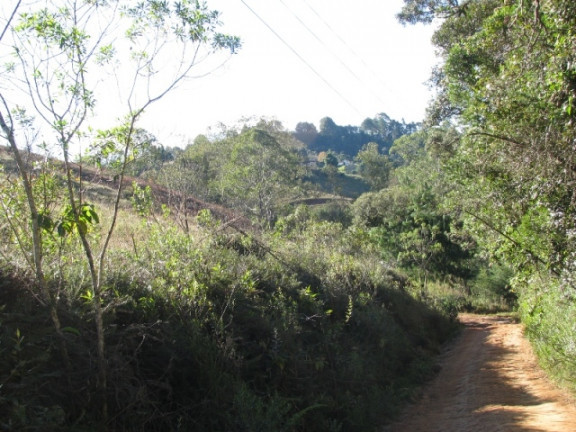 Imagem Terreno à Venda, 1.380 m² em Descansopolis - Campos do Jordão