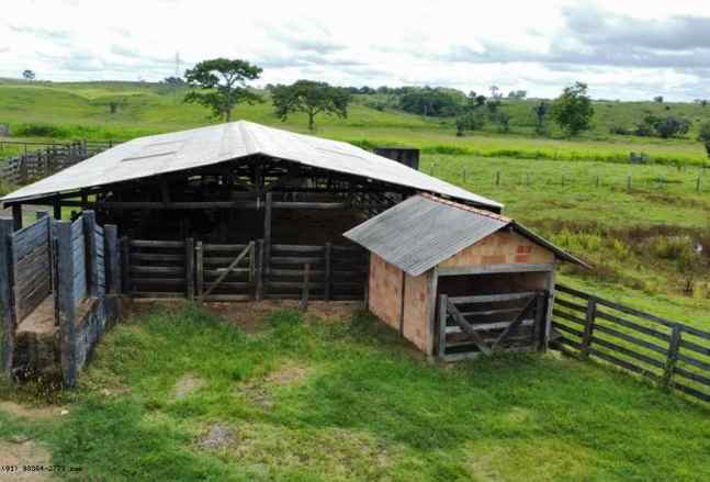 Imagem Fazenda à Venda, 44 m²em Área Rural de Marabá - Marabá