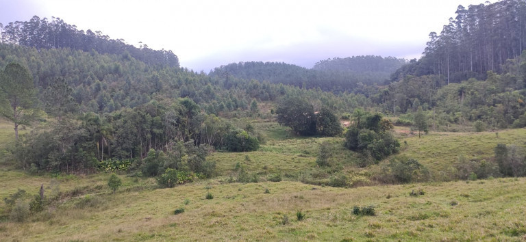 Imagem Fazenda à Venda, 34 HAem Brusque do Sul - Orleans