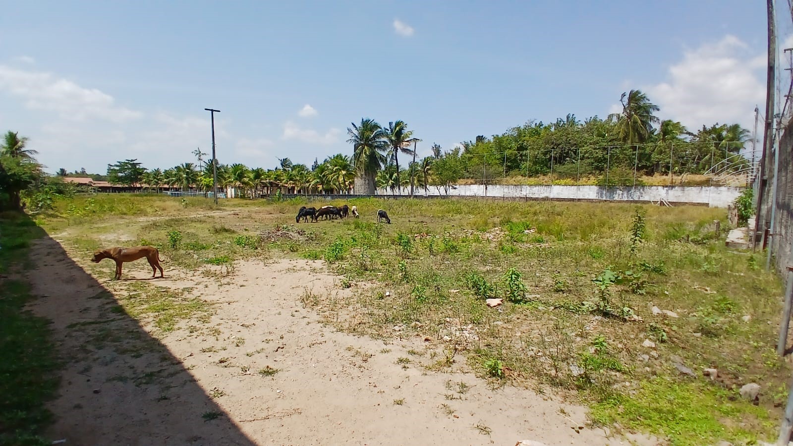 Imagem Casa com 3 Quartos à Venda, 1.000 m² em Siqueira - Maracanaú Imagem Casa com 3 Quartos à Venda, 1.000 m² em Siqueira - Maracanaú