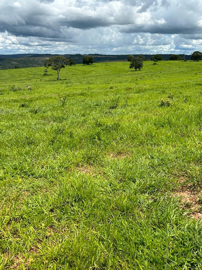 Fazenda à Venda, 198 Alq GOem Centro - Mineiros