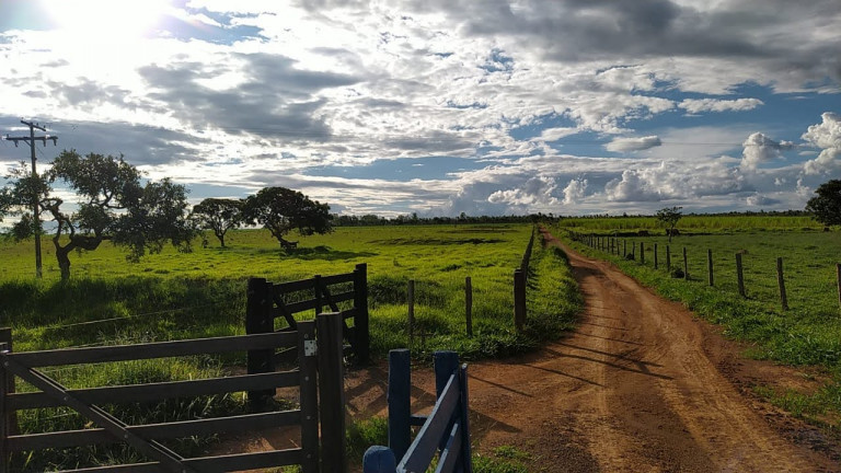 Imagem Chácara com 7 Quartos à Venda, 58.000 m² em Olhos D'água - Alexânia - GO - Alexânia Imagem Chácara com 7 Quartos à Venda, 58.000 m² em Olhos D'água - Alexânia - GO - Alexânia