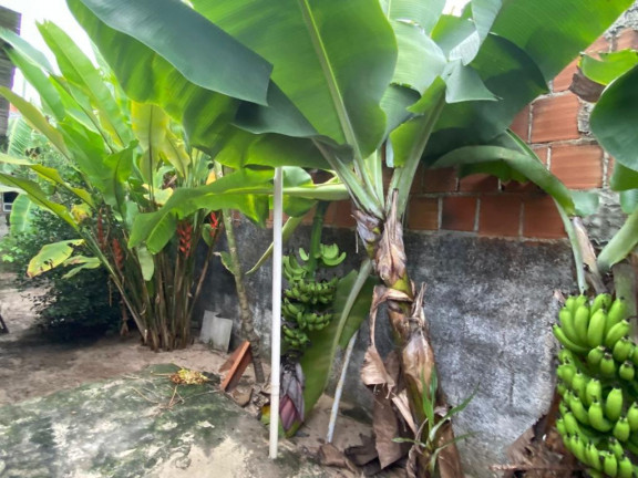 Imagem Casa com 3 Quartos para Alugar, 140 m² em Piedade - Jaboatão dos Guararapes Imagem Casa com 3 Quartos para Alugar, 140 m² em Piedade - Jaboatão dos Guararapes