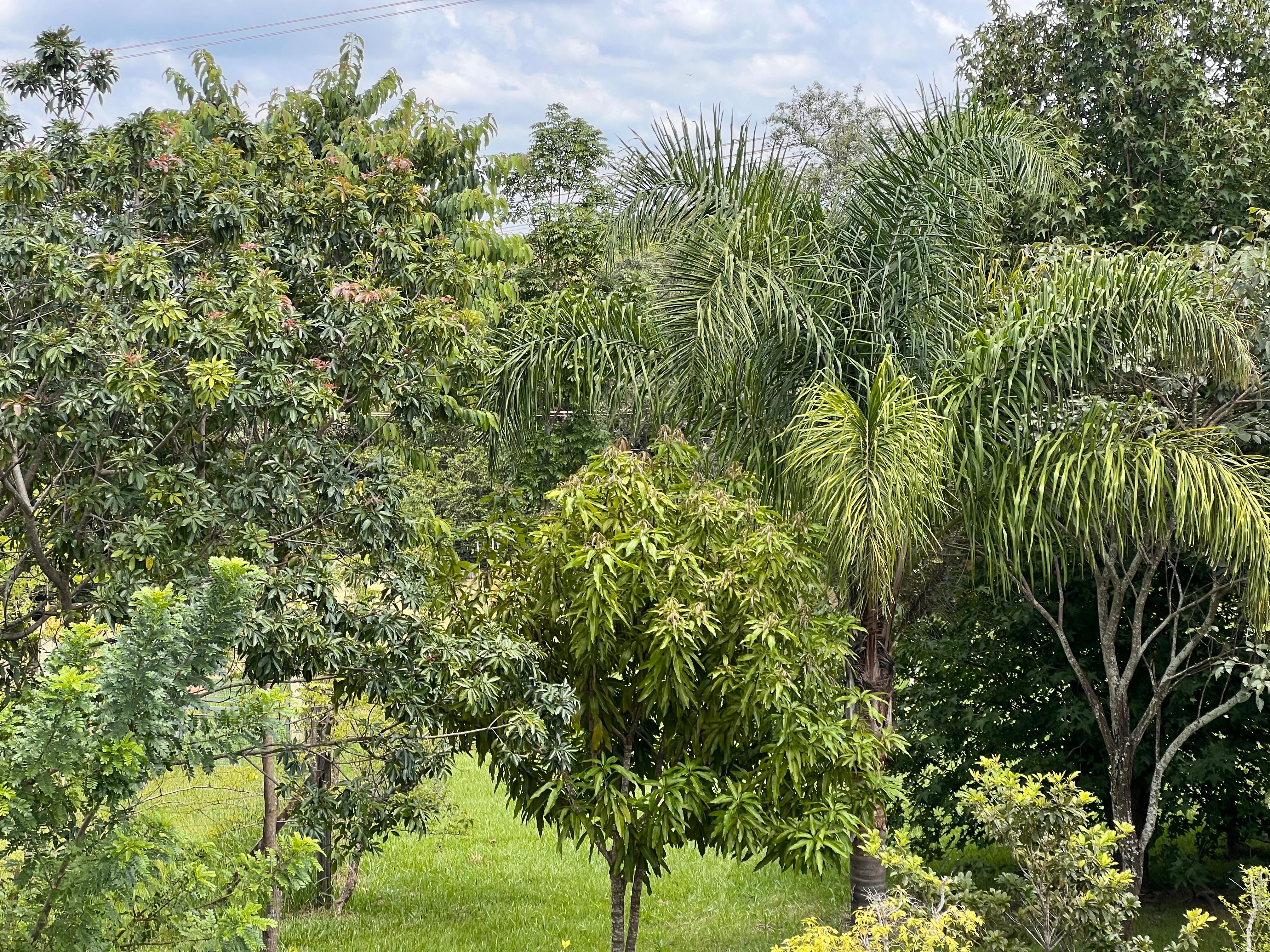 Imagem Casa de Condomínio com 4 Quartos à Venda, 300 m² em Medeiros - Jundiaí