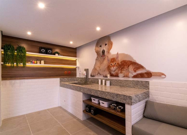 Imagem Apartamento com 2 Quartos à Venda, em Cambuci - São Paulo Imagem Apartamento com 2 Quartos à Venda, em Cambuci - São Paulo