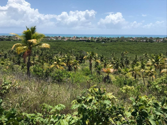 Imagem Terreno à Venda, 160.000 m² em Praia de Tamandaré - Tamandaré Imagem Terreno à Venda, 160.000 m² em Praia de Tamandaré - Tamandaré