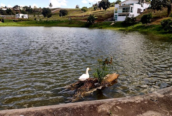 Terreno em Condomínio à Venda, 503 m²em Bairro Novo - Carpina