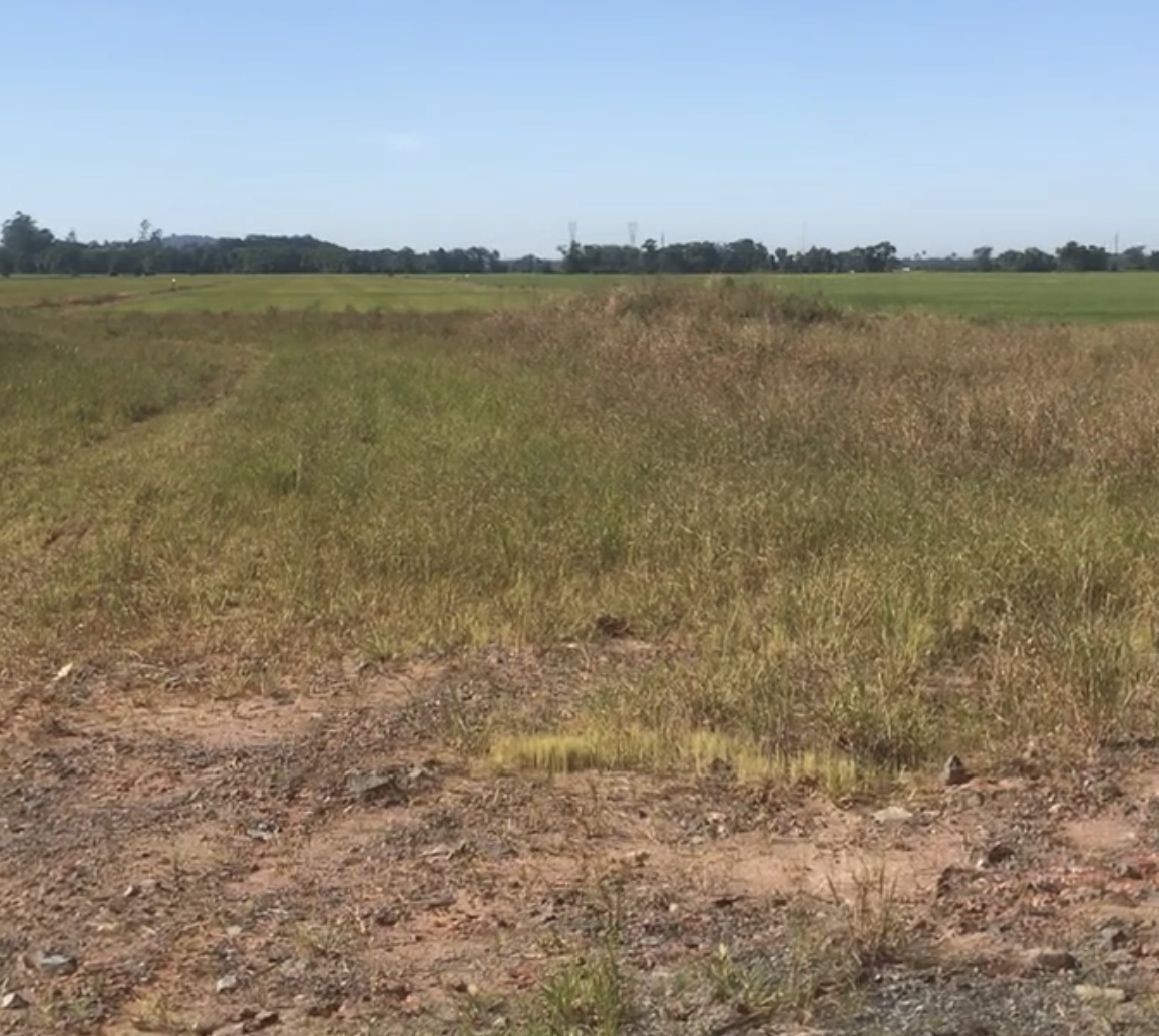 Imagem Galpão para Alugar, 5 m²em Vila Nova - Joinville