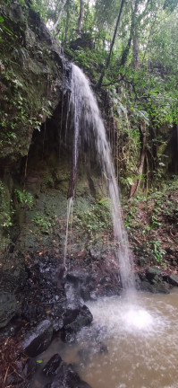 Imagem Terreno à Venda,  em Santaninha - Pedras Grandes