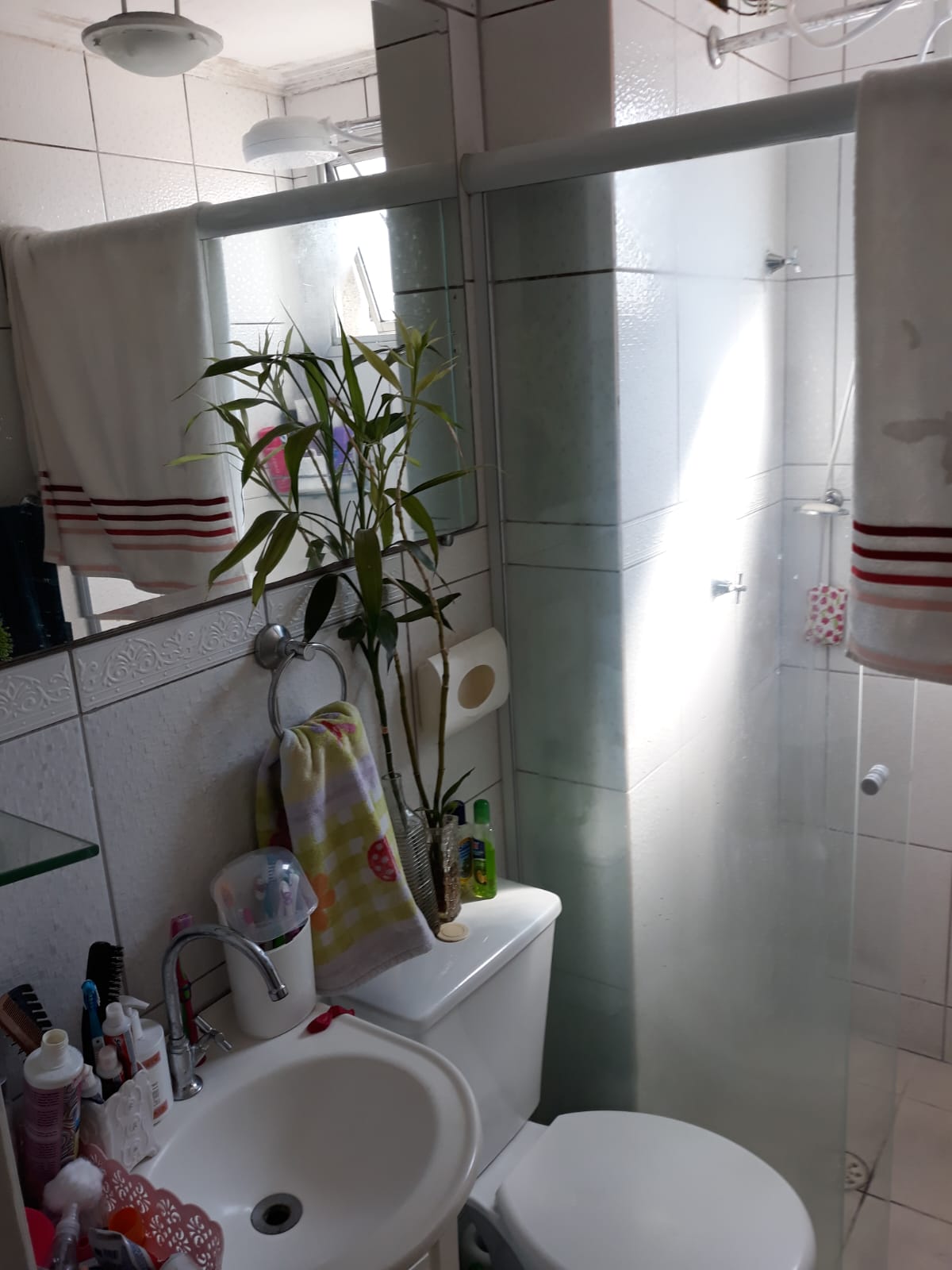 Imagem Apartamento com 2 Quartos à Venda, 56 m²em Jardim Miriam - São Paulo Imagem Apartamento com 2 Quartos à Venda, 56 m²em Jardim Miriam - São Paulo