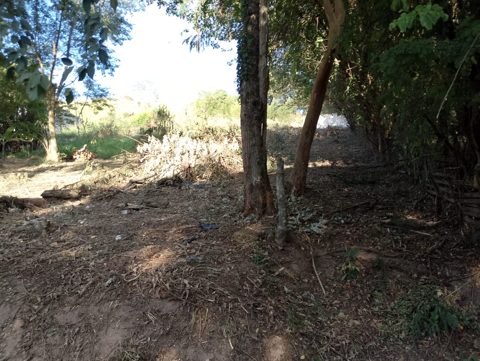 Imagem Terreno à Venda, 1 m²em Chácaras Pousada do Vale - São José dos Campos