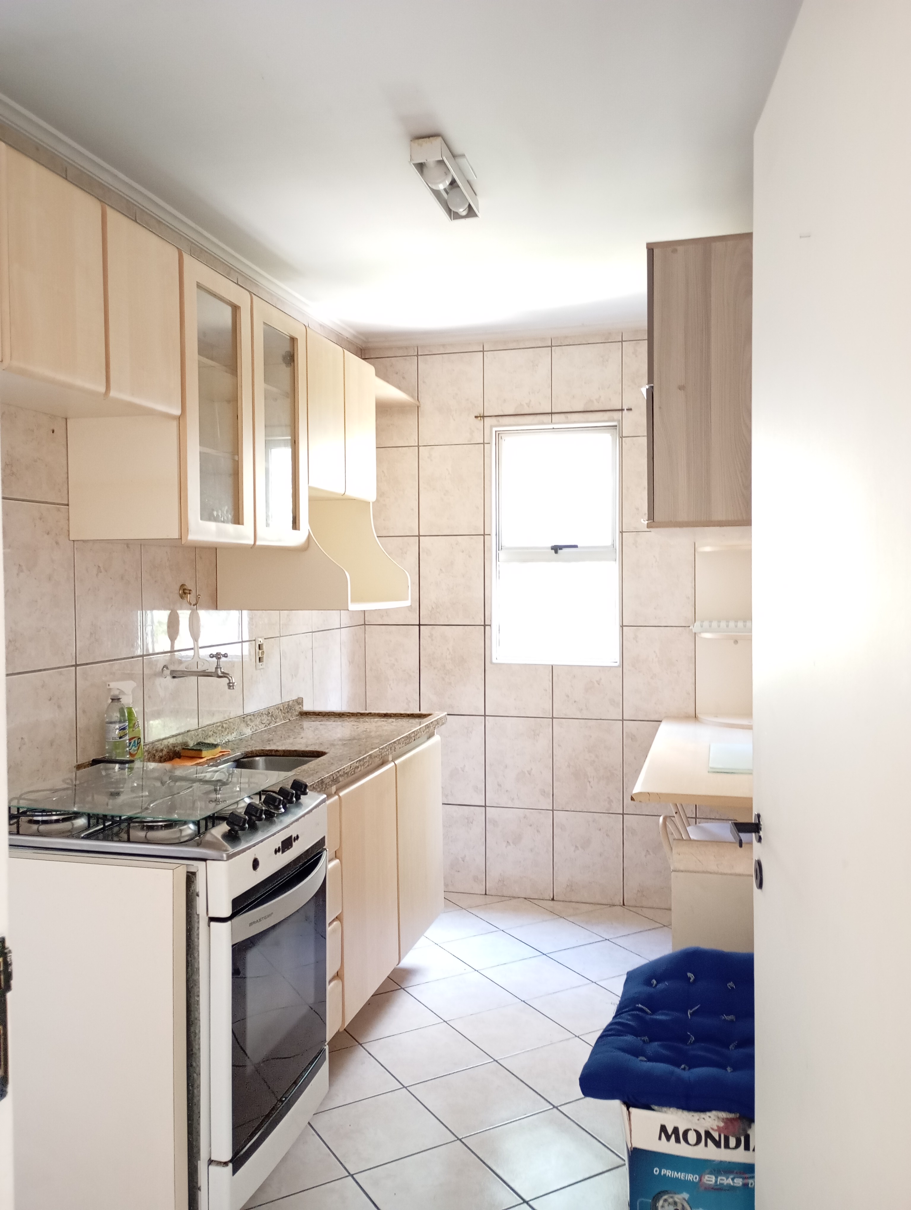 Imagem Apartamento com 2 Quartos à Venda, 61 m² em Vila Santa Teresa (Zona Sul) - São Paulo