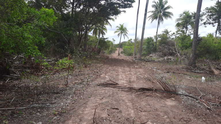 Imagem Terreno à Venda, 300 m²em Barra do Jacuípe - Camaçari Imagem Terreno à Venda, 300 m²em Barra do Jacuípe - Camaçari