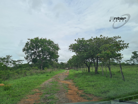 Imagem Fazenda à Venda, 24 HA em brazlandia - Brasília