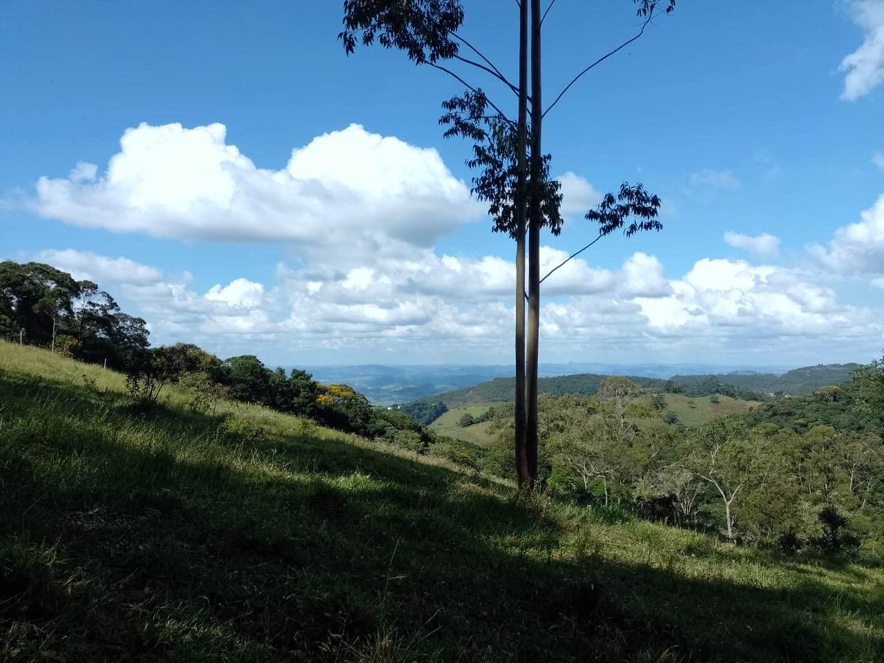 Imagem Chácara à Venda, 20.000 m² em Centro - Poços de Caldas Imagem Chácara à Venda, 20.000 m² em Centro - Poços de Caldas