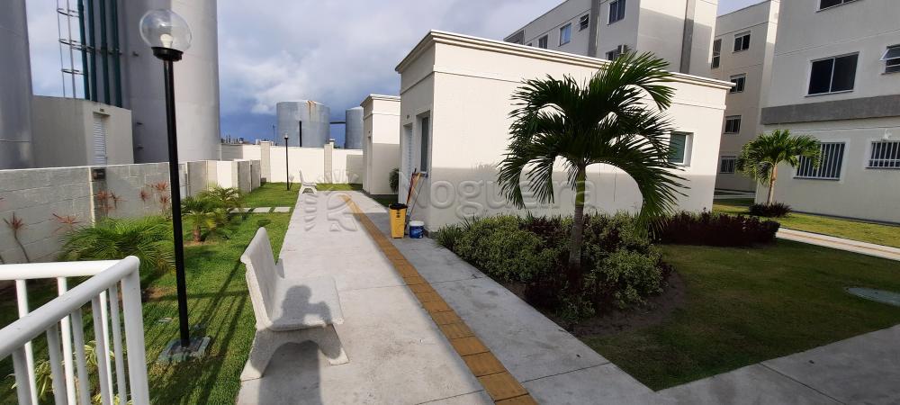 Imagem Apartamento com 2 Quartos à Venda, 45 m²em Piedade - Jaboatão dos Guararapes Imagem Apartamento com 2 Quartos à Venda, 45 m²em Piedade - Jaboatão dos Guararapes