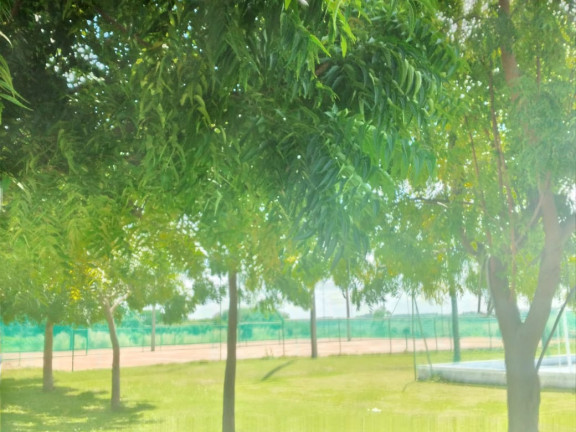 Imagem Terreno em Condomínio à Venda, 450 m² em Tambaba - Pitimbu