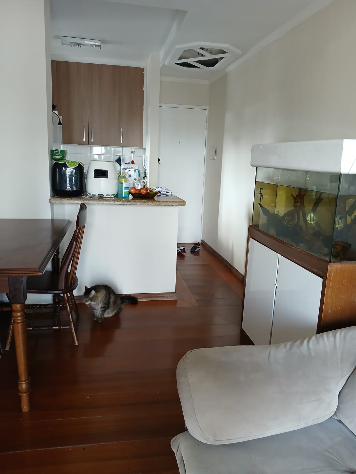 Imagem Apartamento com 2 Quartos à Venda, 62 m² em Assunção - São Bernardo do Campo Imagem Apartamento com 2 Quartos à Venda, 62 m² em Assunção - São Bernardo do Campo