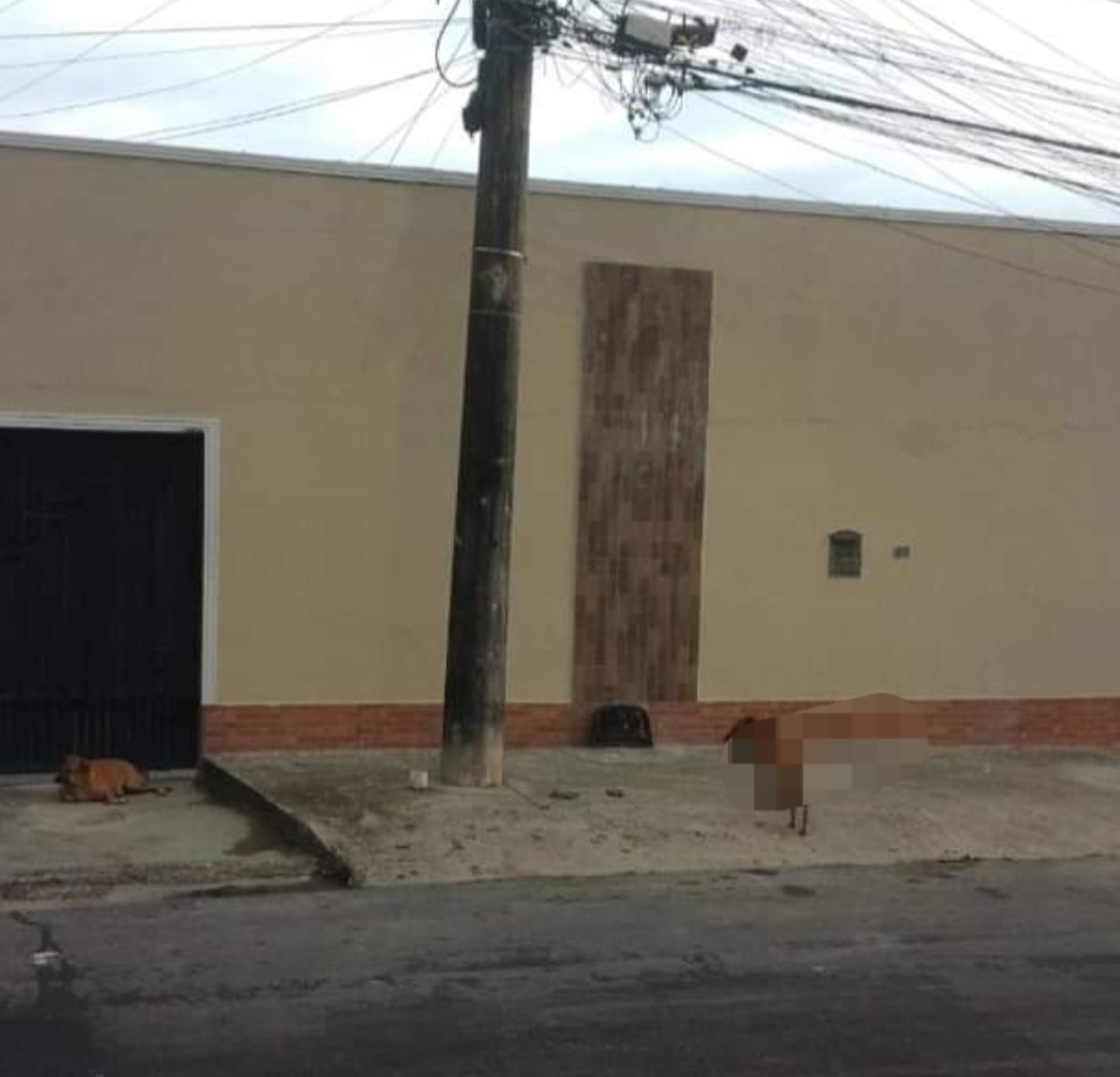 Imagem Casa com 4 Quartos à Venda, 300 m²em Japiim - Manaus Imagem Casa com 4 Quartos à Venda, 300 m²em Japiim - Manaus