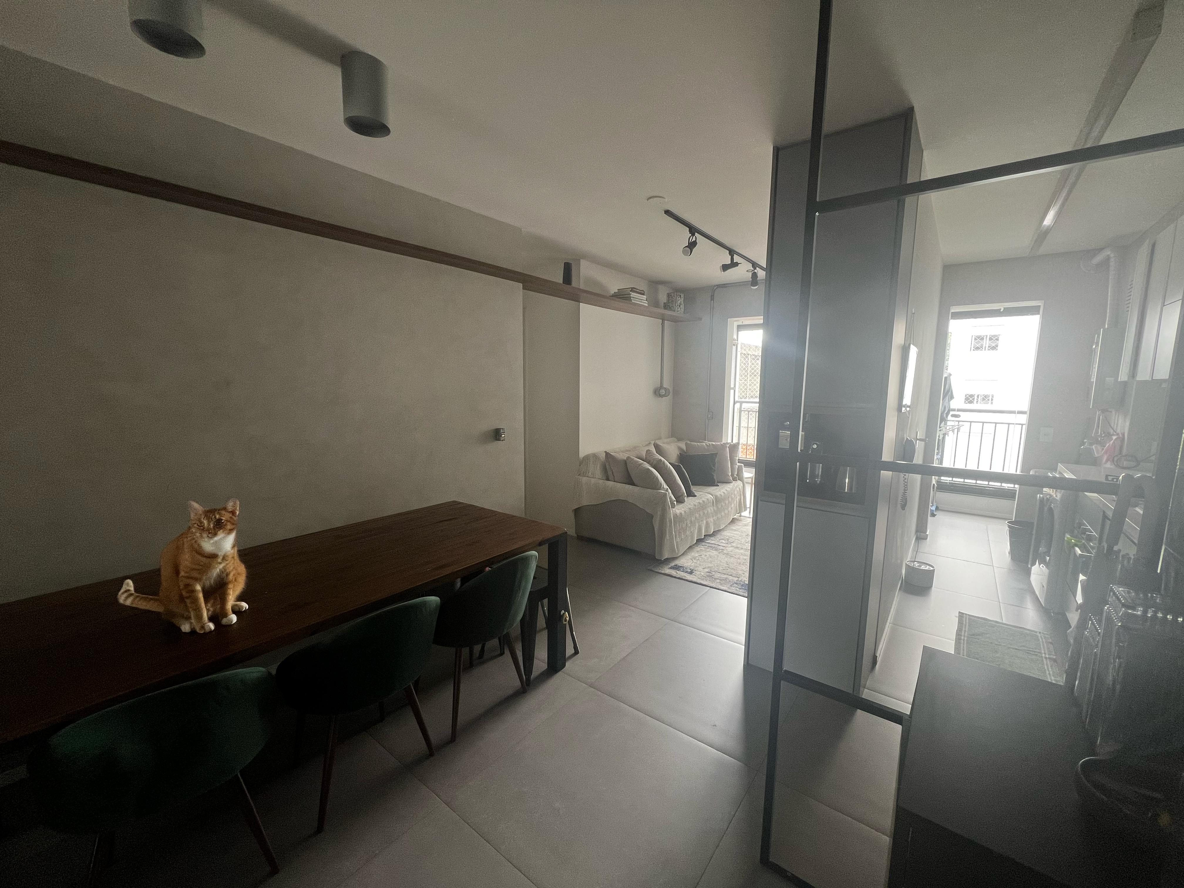 Imagem Apartamento com 3 Quartos à Venda, 69 m² em Vila das Mercês - São Paulo