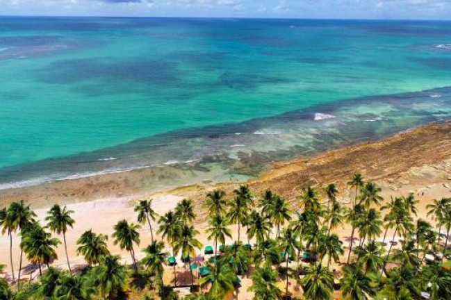 Imagem Casa de Condomínio com 3 Quartos à Venda, em Praia dos Carneiros - Tamandaré Imagem Casa de Condomínio com 3 Quartos à Venda, em Praia dos Carneiros - Tamandaré