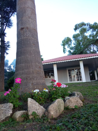 Imagem Chácara com 2 Quartos à Venda, 12.350 m² em RIBEIRÃOZINHO - Agudos do Sul Imagem Chácara com 2 Quartos à Venda, 12.350 m² em RIBEIRÃOZINHO - Agudos do Sul