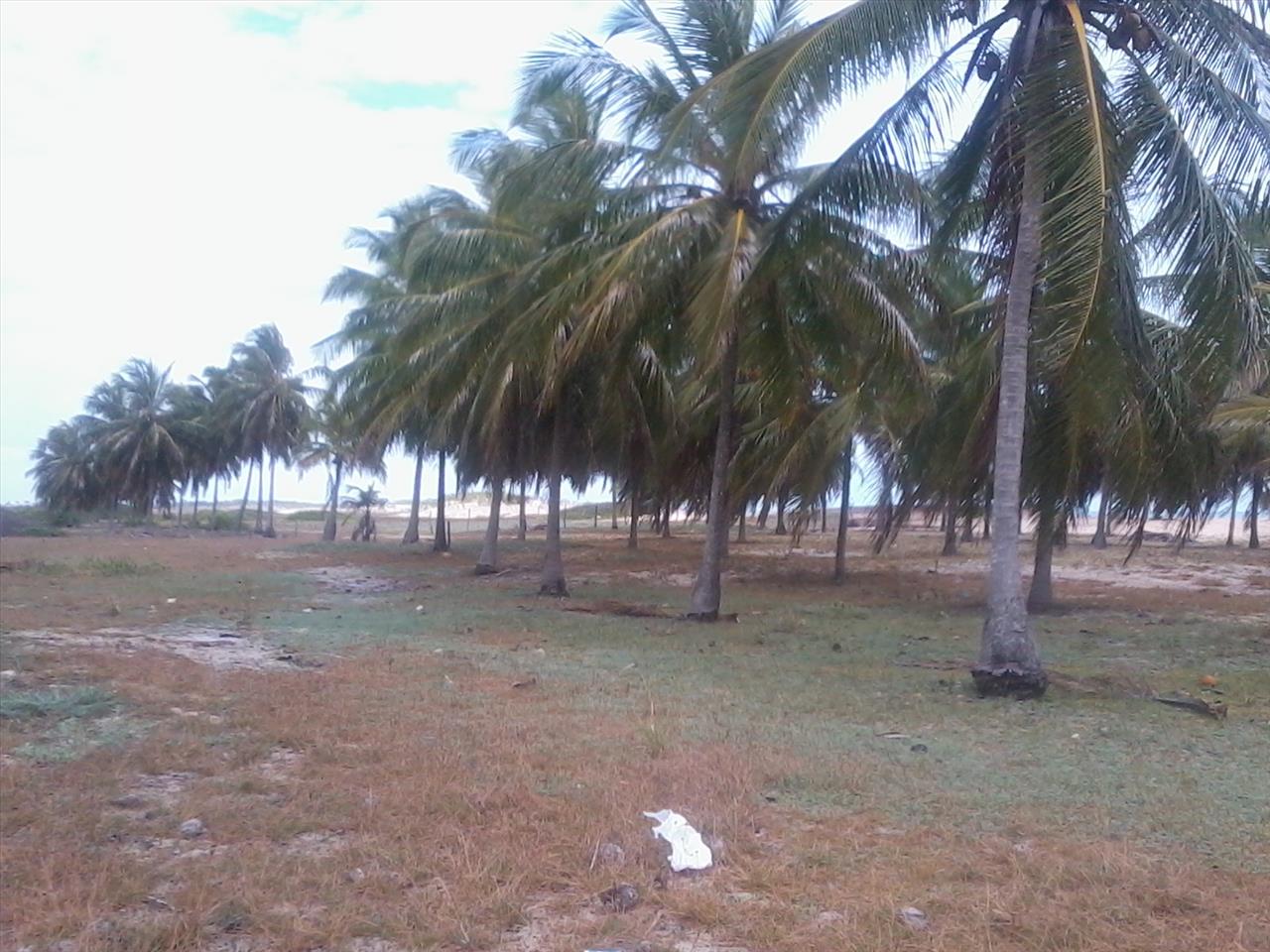 Imagem Terreno à Venda, 168.640 metro em Praia de Pititinga - Rio do Fogo