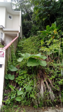 Imagem Terreno à Venda, 1.063 m² em América - Joinville