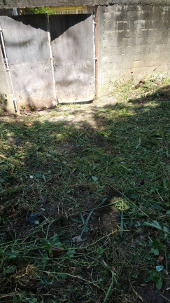 Imagem Terreno à Venda, 500 m² em Vila Gustavo - São Paulo