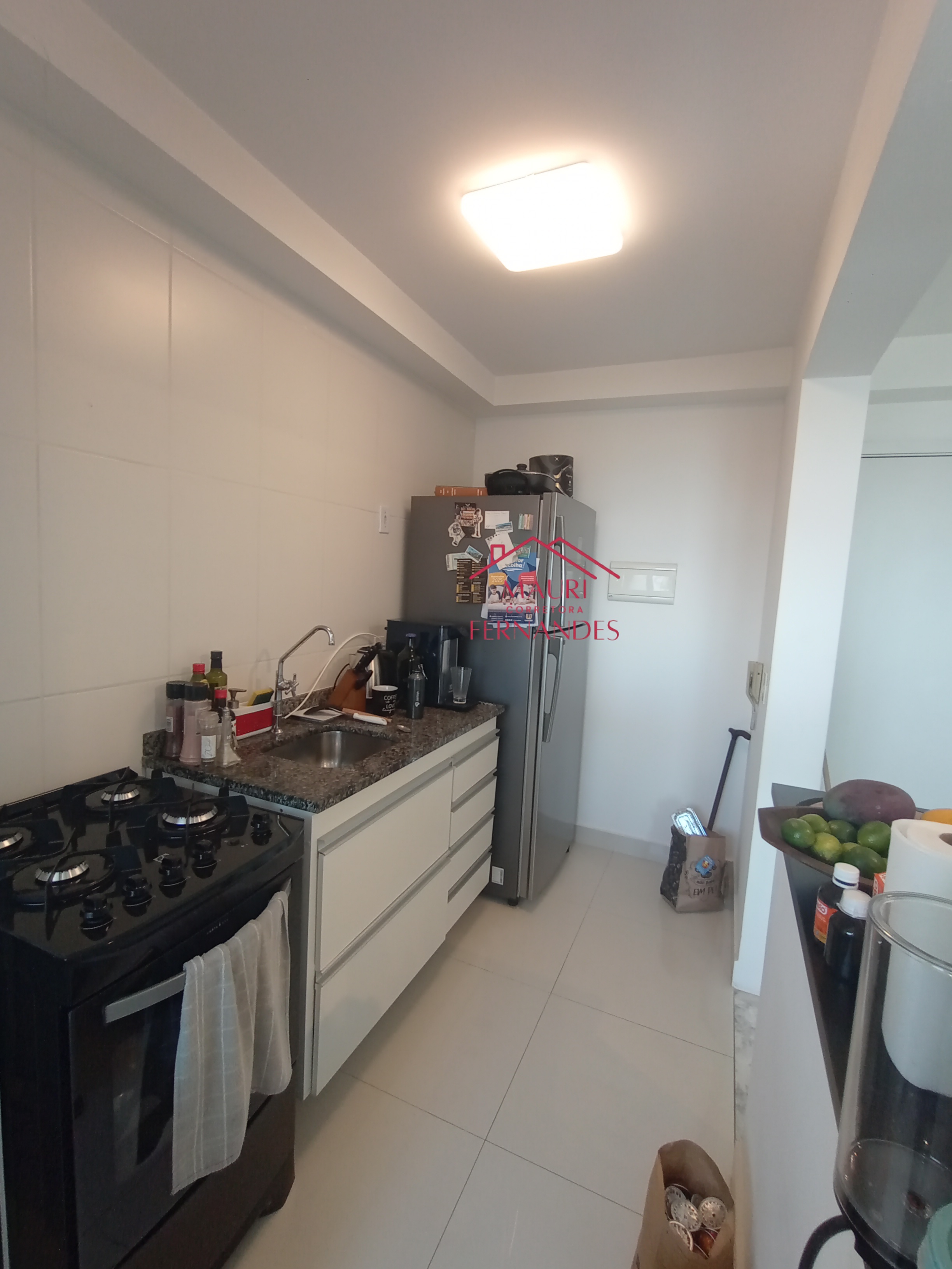 Imagem Apartamento com 2 Quartos à Venda, 52 m² em Jaçanã - São Paulo