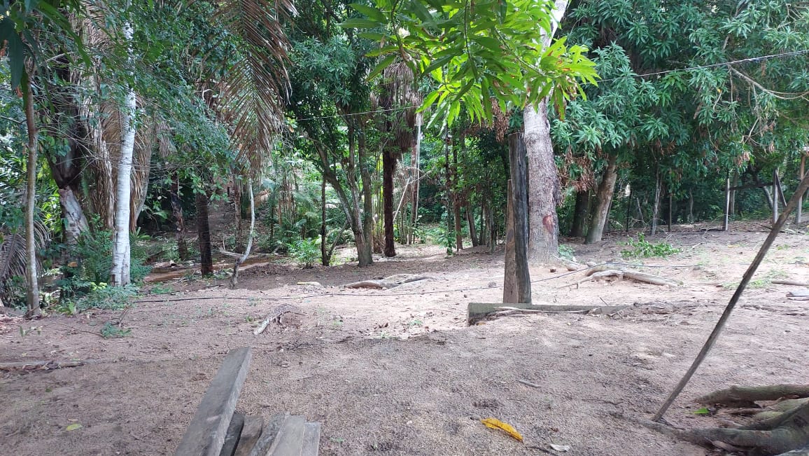 Imagem Fazenda à Venda, 9 Alq MGem Nova Marabá - Marabá
