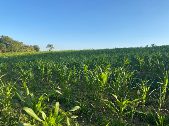 Imagem Terreno em Condomínio à Venda, 1.000 m² em Verava - Ibiúna Imagem Terreno em Condomínio à Venda, 1.000 m² em Verava - Ibiúna