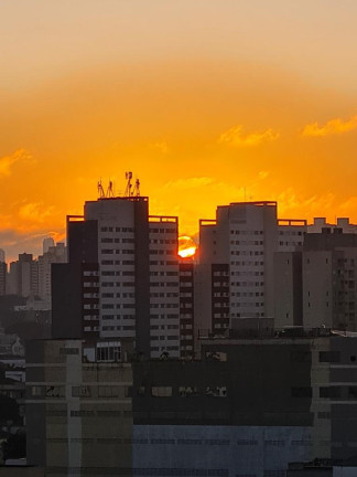 Imagem Apartamento com 2 Quartos para Alugar,  em Cambuci - São Paulo