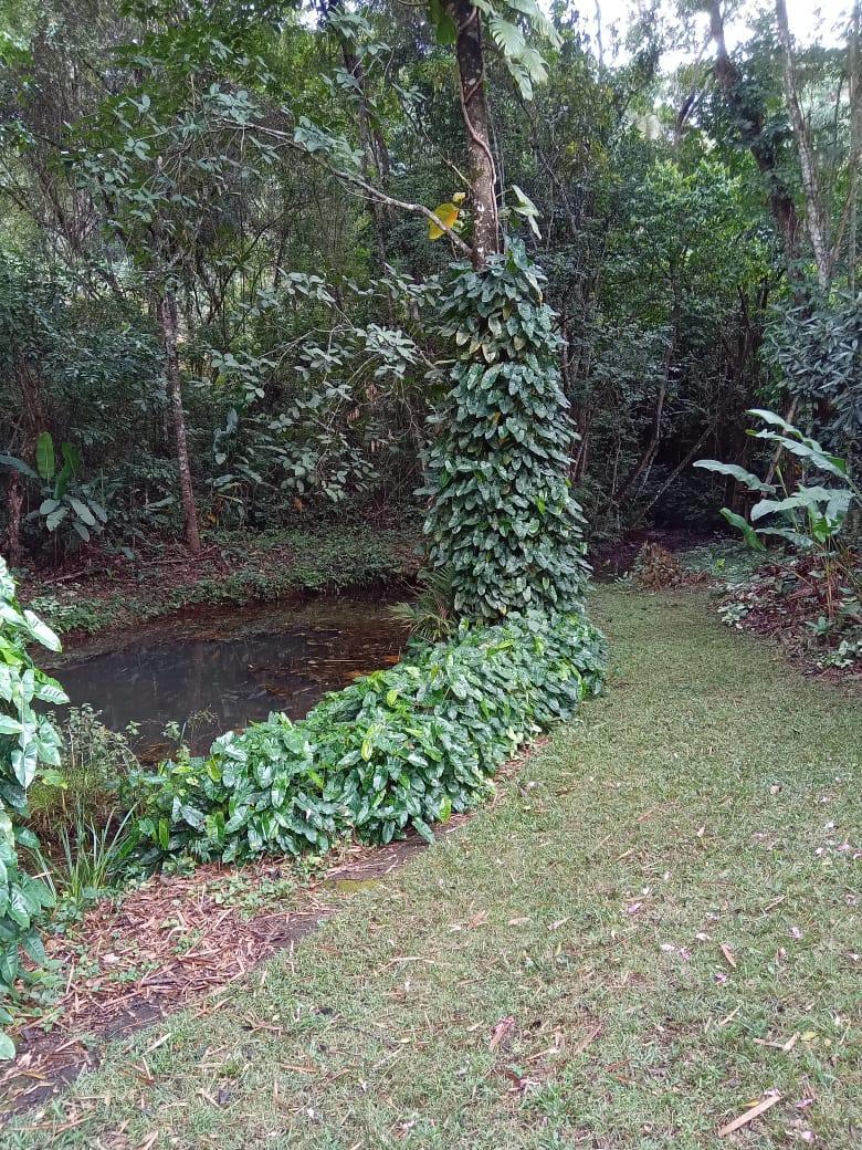 Imagem Chácara com 3 Quartos à Venda, 30 m²em Área Rural de Itabira - Itabira Imagem Chácara com 3 Quartos à Venda, 30 m²em Área Rural de Itabira - Itabira