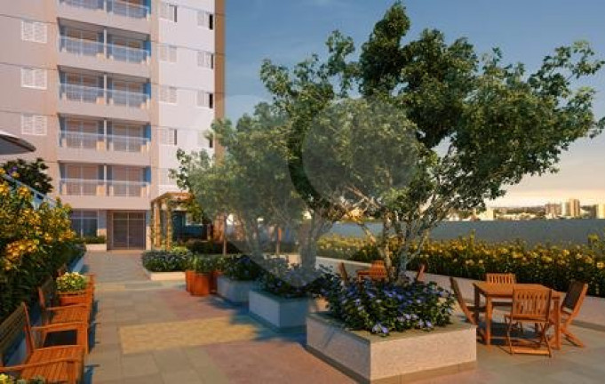Imagem Apartamento com 2 Quartos à Venda, 54 m² em Casa Branca - Santo André