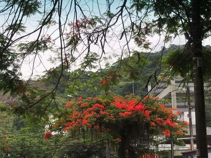 Terreno à Venda, 624 m² em Pitangueiras - Guarujá