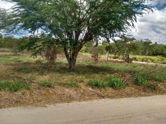 Imagem Terreno em Condomínio à Venda, 4.000 m² em Zona Rural - Bonito