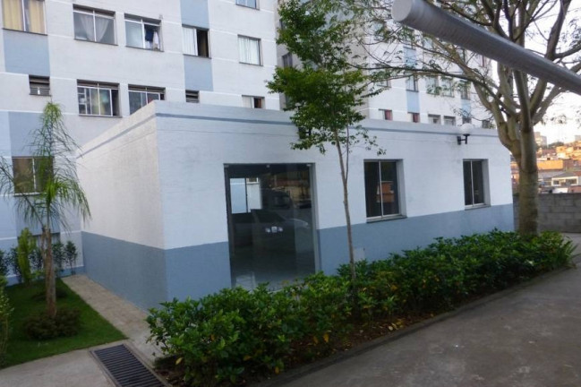 Imagem Apartamento com 3 Quartos à Venda, 66 m² em Super Quadra Morumbi - São Paulo Imagem Apartamento com 3 Quartos à Venda, 66 m² em Super Quadra Morumbi - São Paulo