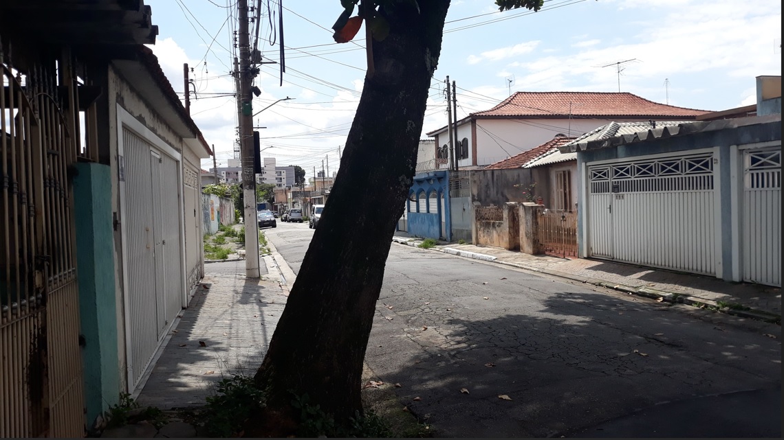 Imagem Terreno à Venda, 250 m²em Vila Nova Carolina - São Paulo
