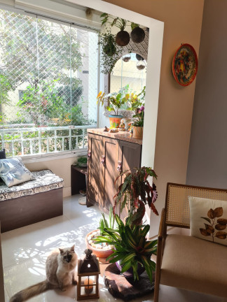 Imagem Apartamento com 2 Quartos à Venda,  em Cambuci - São Paulo