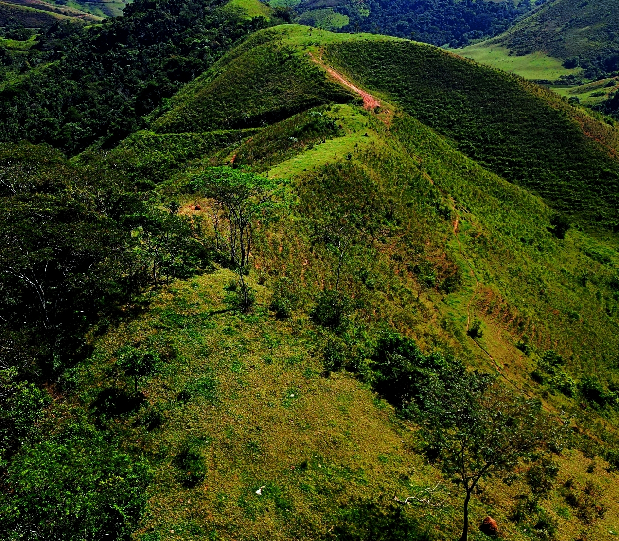 Imagem Fazenda à Venda, 459.000 HA em Área Rural de Valença - Valença