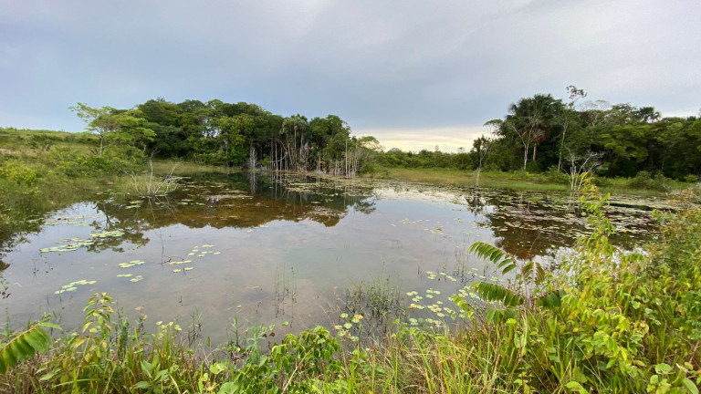 Imagem Fazenda à Venda, 455 HA em zona Rural - Santarém Novo Imagem Fazenda à Venda, 455 HA em zona Rural - Santarém Novo