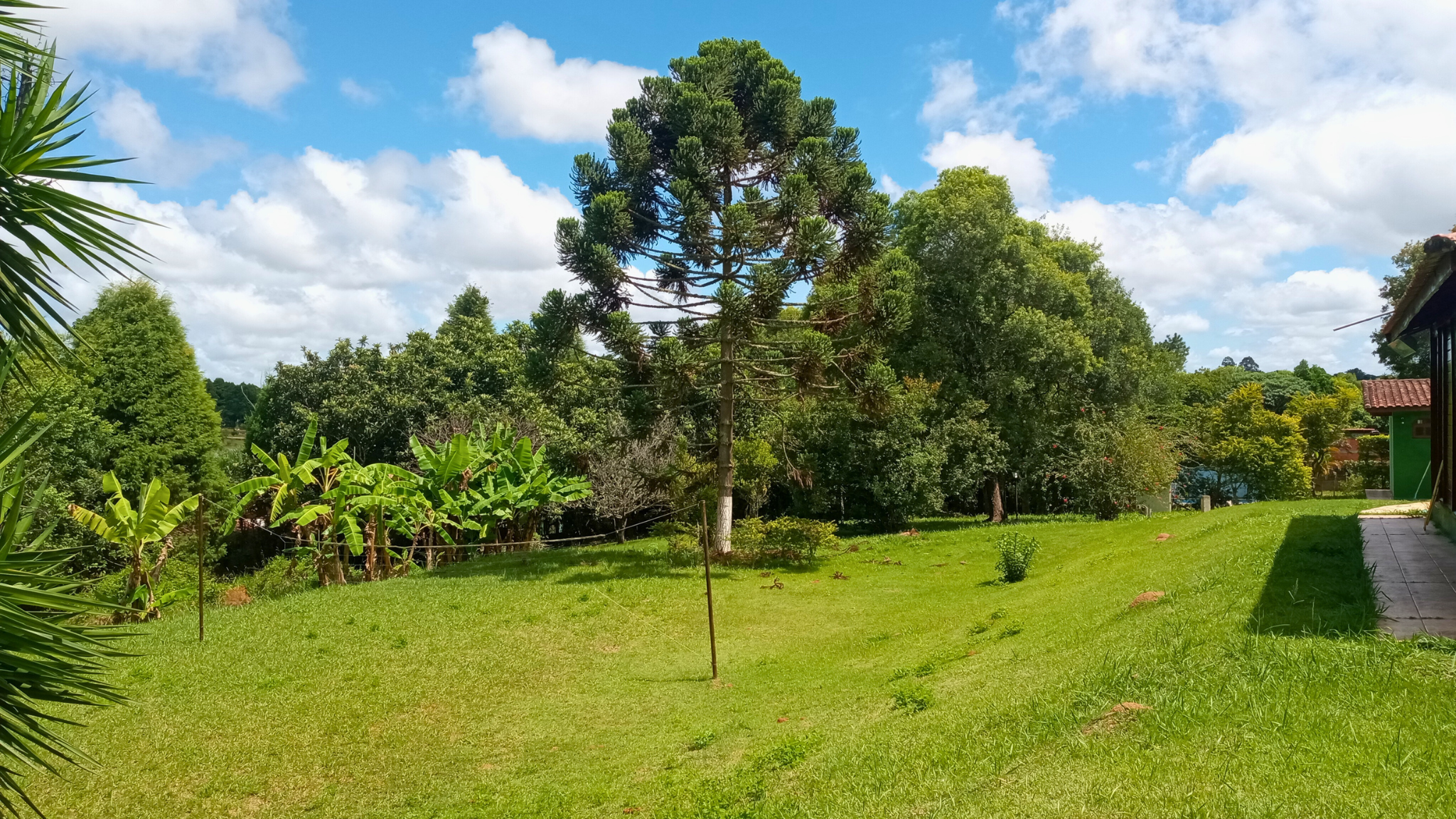 Imagem Chácara com 3 Quartos à Venda ou Temporada, 3.500 m² em Lajeadinho - Ibiúna Imagem Chácara com 3 Quartos à Venda ou Temporada, 3.500 m² em Lajeadinho - Ibiúna