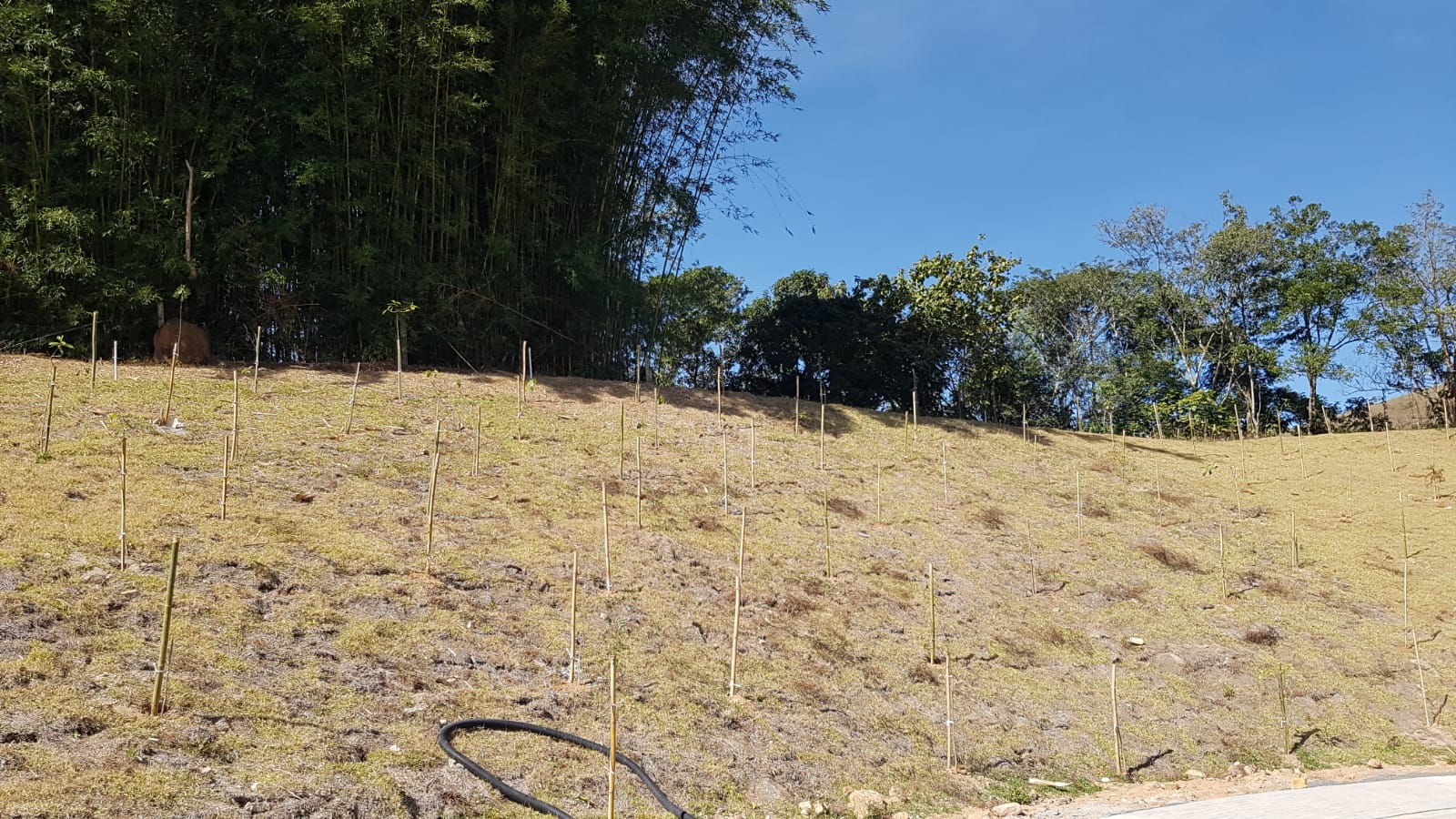 Imagem Terreno à Venda ou Temporada, 450 m²em São Francisco Xavier - São José dos Campos
