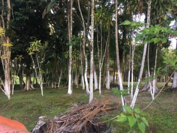 Imagem Chácara com 2 Quartos à Venda, 4.000 m² em Jd. Coronel - Itanhaém