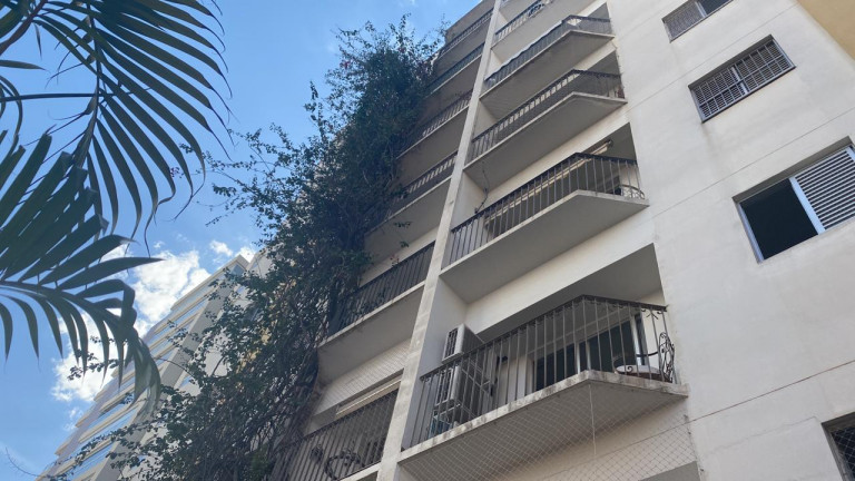 Imagem Apartamento com 2 Quartos à Venda, 75 m² em Cambuí - Campinas