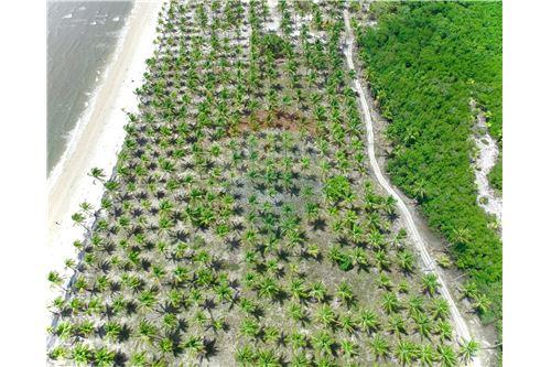 Imagem Terreno à Venda, 14 m²em ILHA DO CONTRATO - Igrapiúna